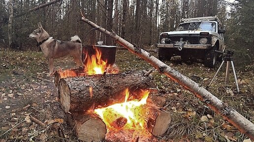 Три дня в лесу. Нашёл старинные весы, эстакаду. Настоящие лесные раскопки.