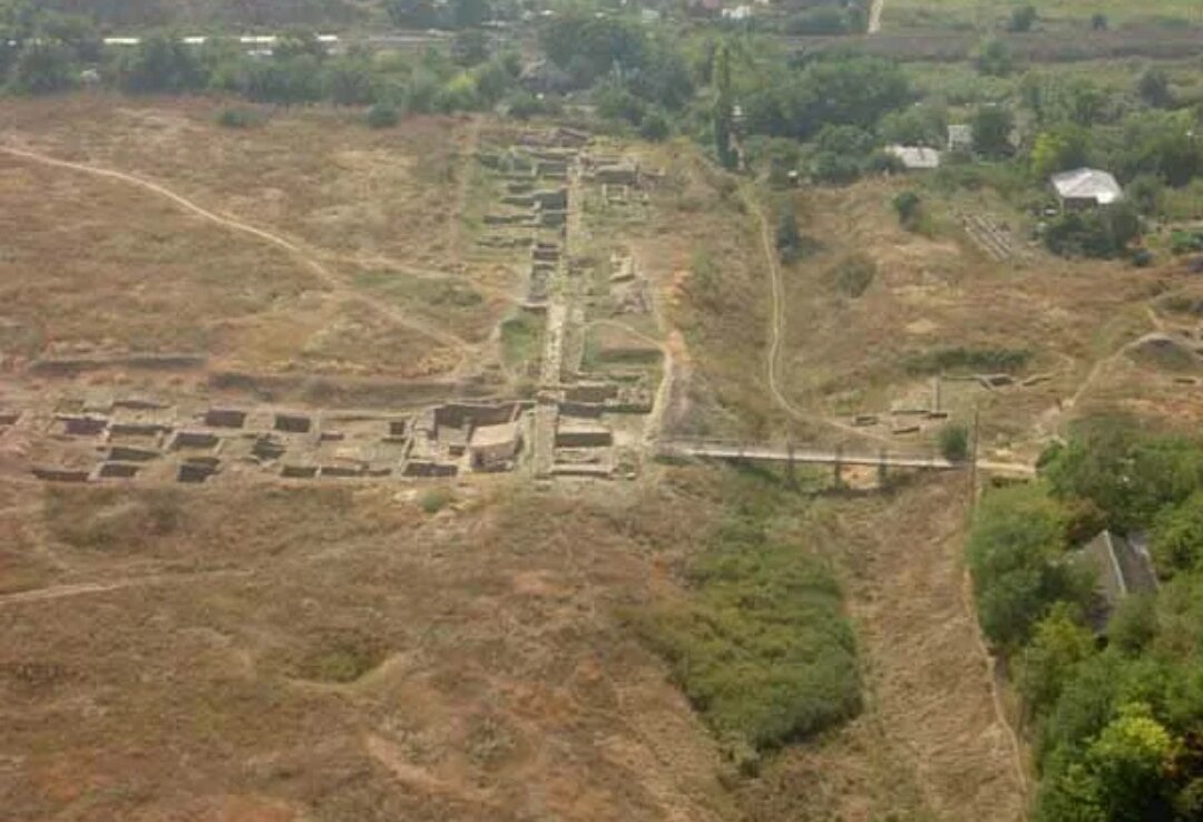 Танаис ростовская. Tanais что это просят. Tanais что это просят. Tanais что это просят. Tanais что это просят.