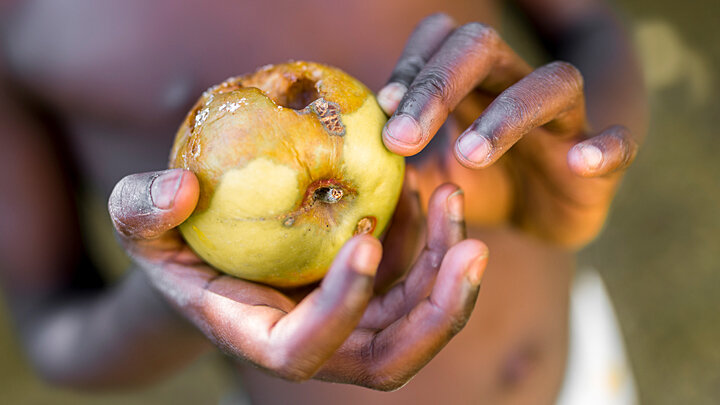 ФОТО: GAJUS / SHUTTERSTOCK.COM 