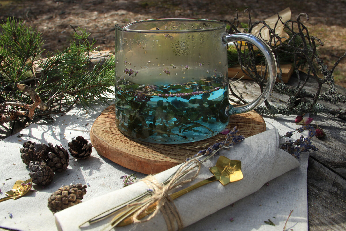 Чайная церемония для гостей BC Travel