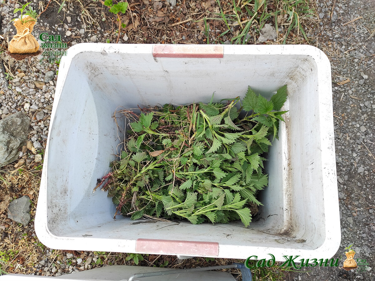 Травяное удобрение