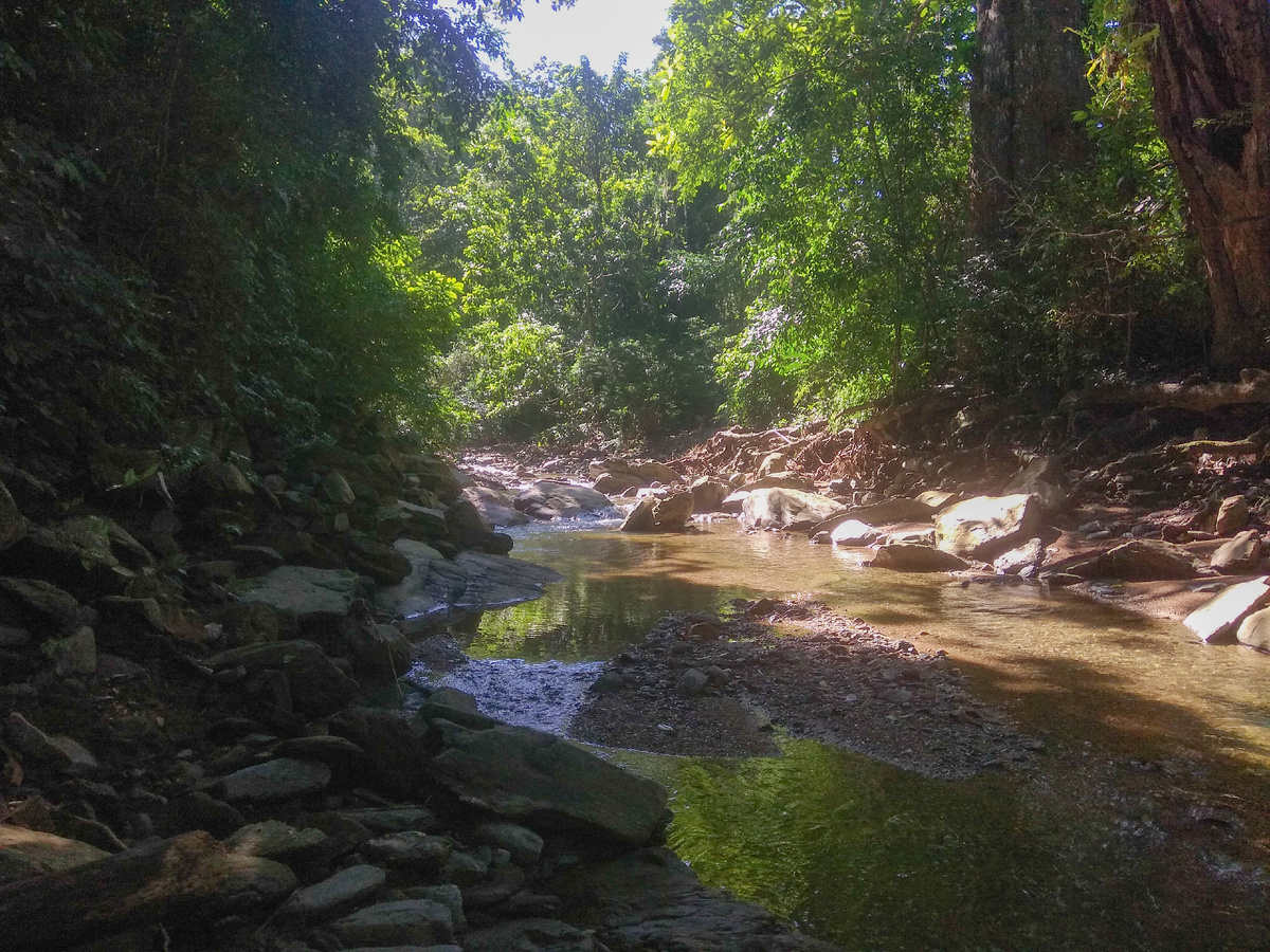 Речушка, вдоль которой я шёл (неглубокое её место)