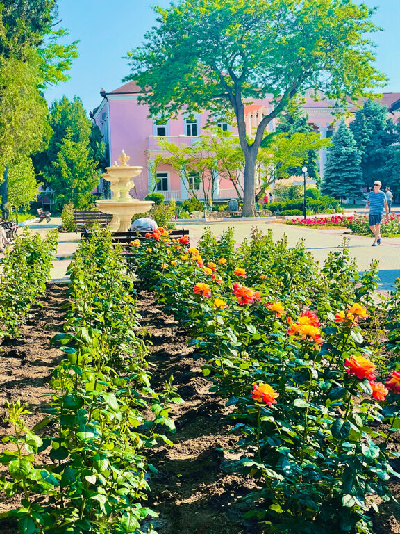 Территория санатория "им. Н. И. Пирогова" Фото: yandex.ru/maps людмила и.