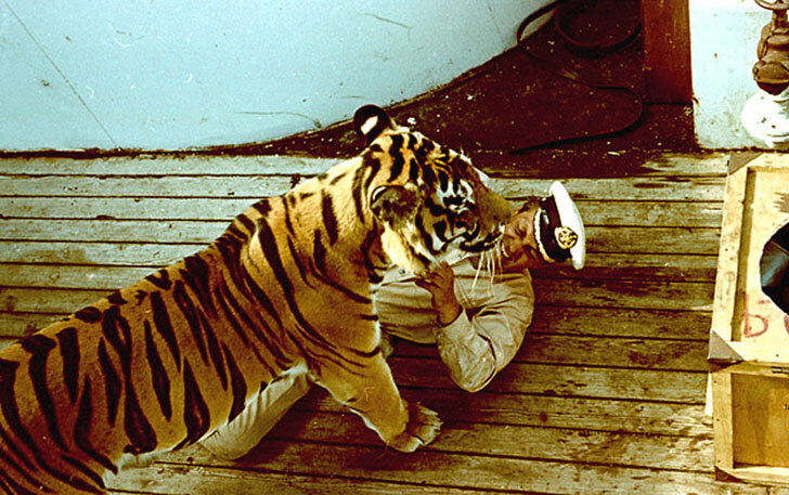 Съемки фильма "Полосатый рейс"  