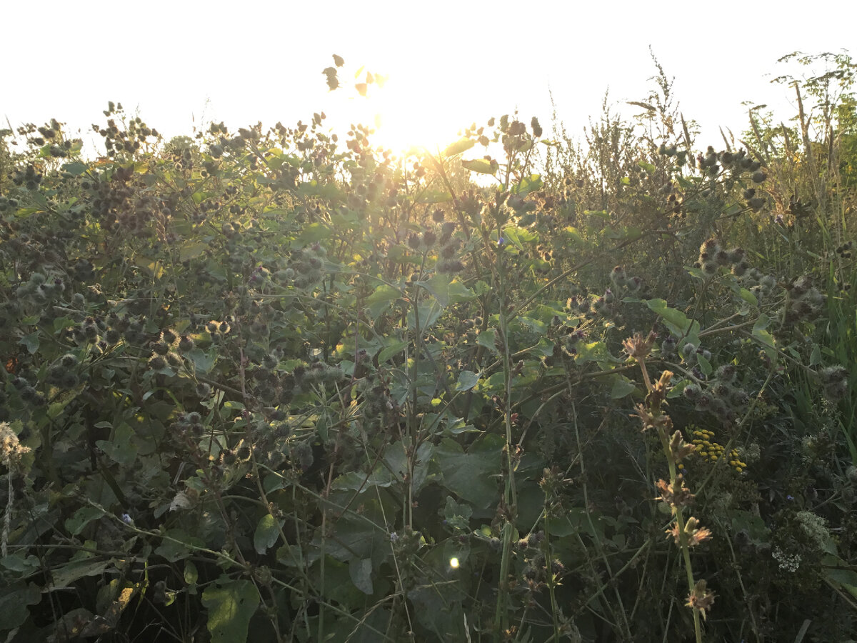 Фото для фона, без подтекста. Просто любая фотка с планшета.