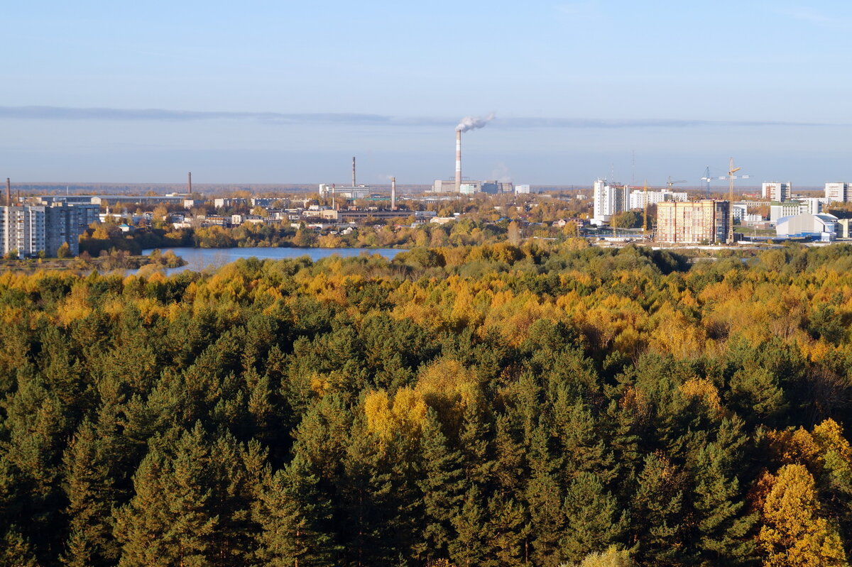 Фото Анастасии Петровой