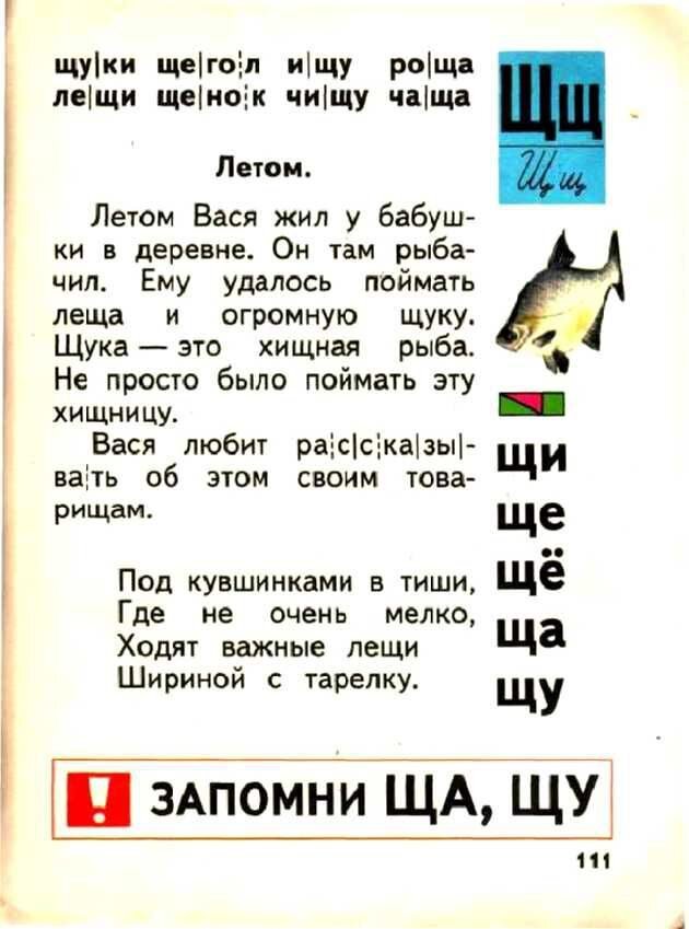      Доктор педагогических наук Всеслав Горецкий построил свой букварь не согласно алфавиту, а по частоте употребления букв в речи и на письме: открывали книгу «а» и «о», а закрывали «ь» и «ъ».-60