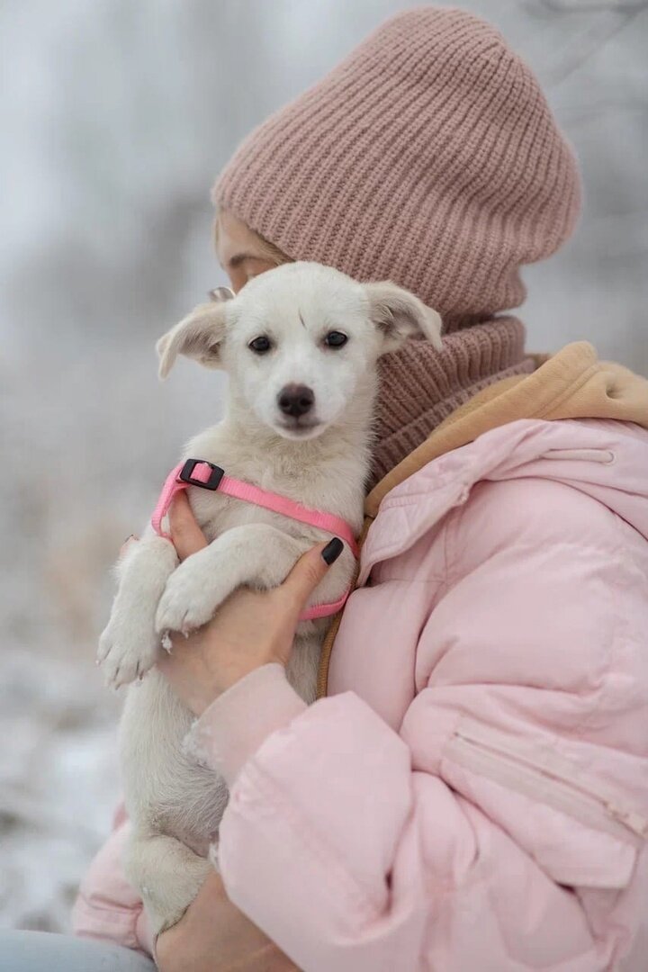 Луна