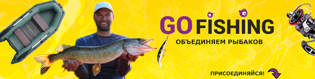 Если вам понравилась статья, то делитесь своим мнением в комментариях!