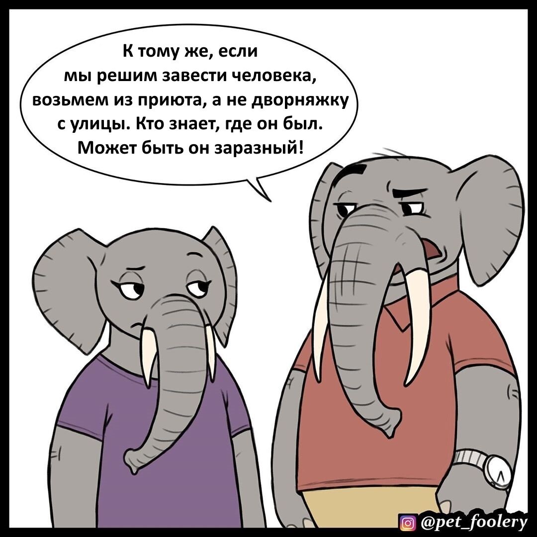 Слоны считают людей милыми. Слон думает. Завести человека. Завелись люди. Слоник думает.
