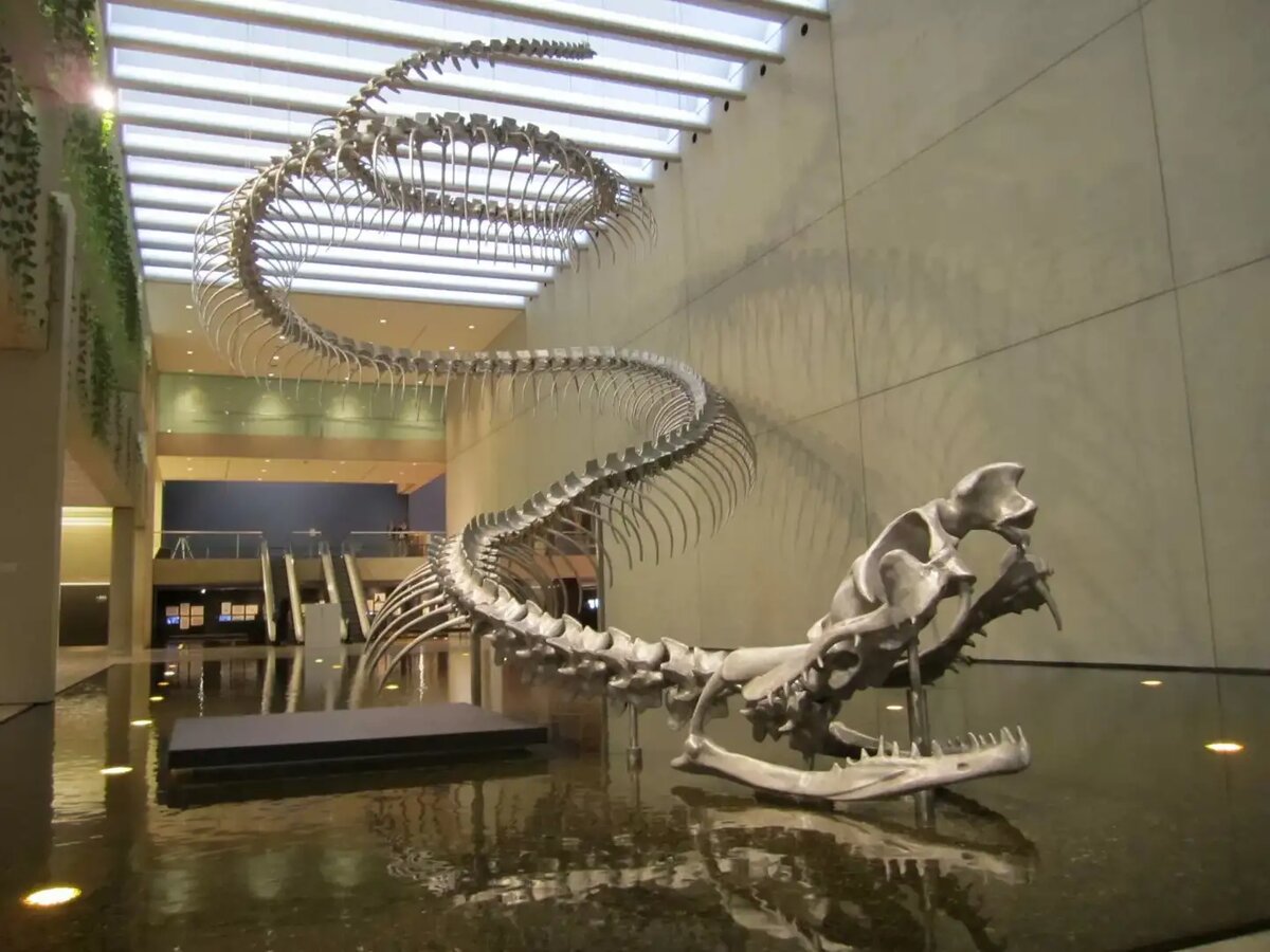 kaliningrad.sm-news.ru