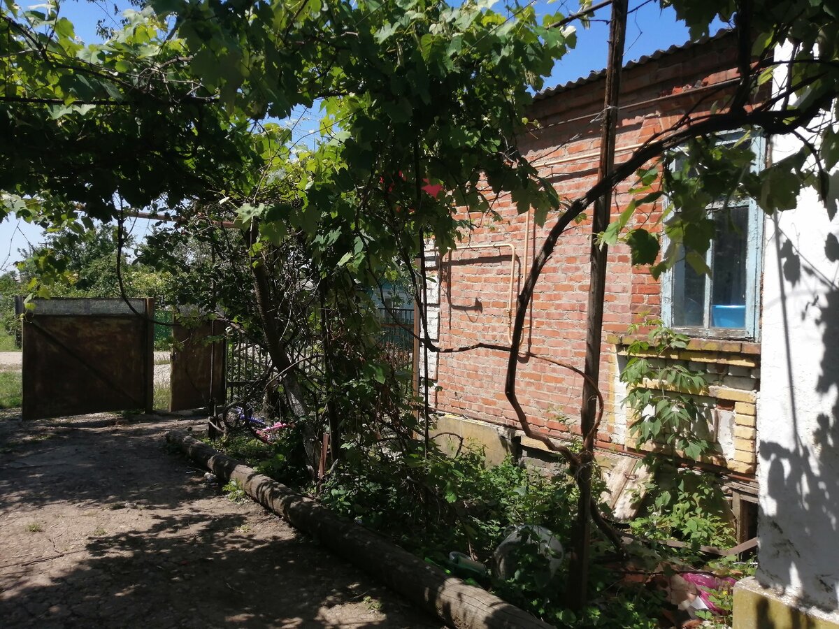 Фото автора. Уютный, типичный для юга дворик с тенью от винограда.