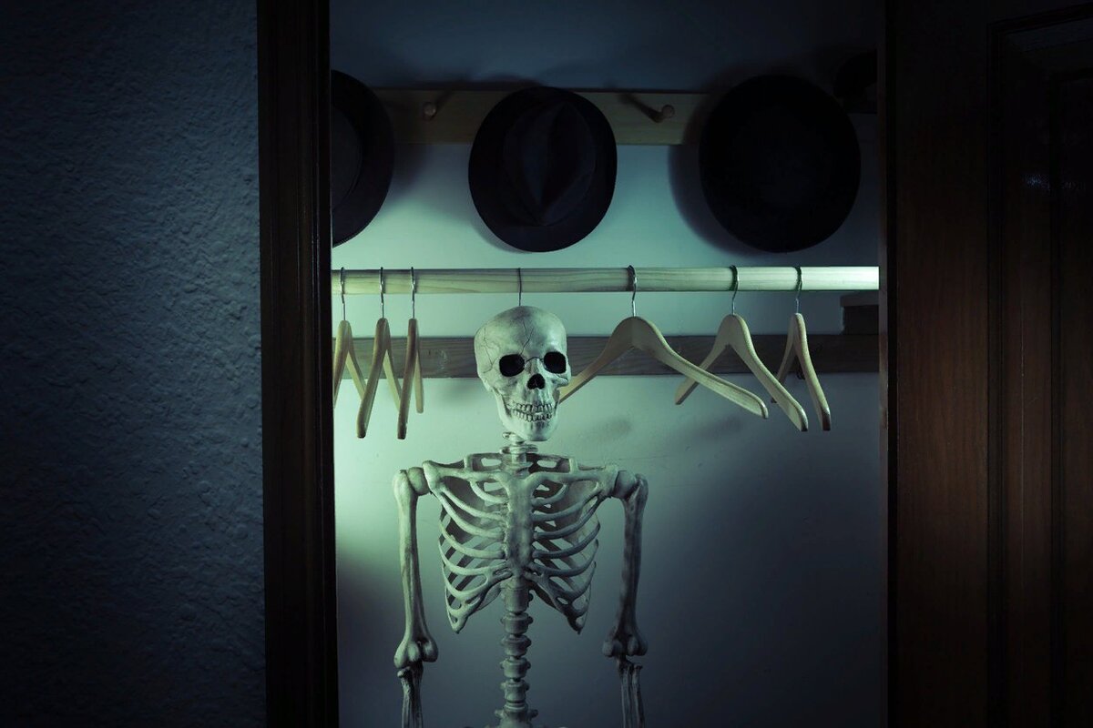 роман скелет в шкафу