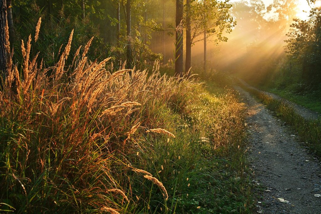 Волшебные пейзаж