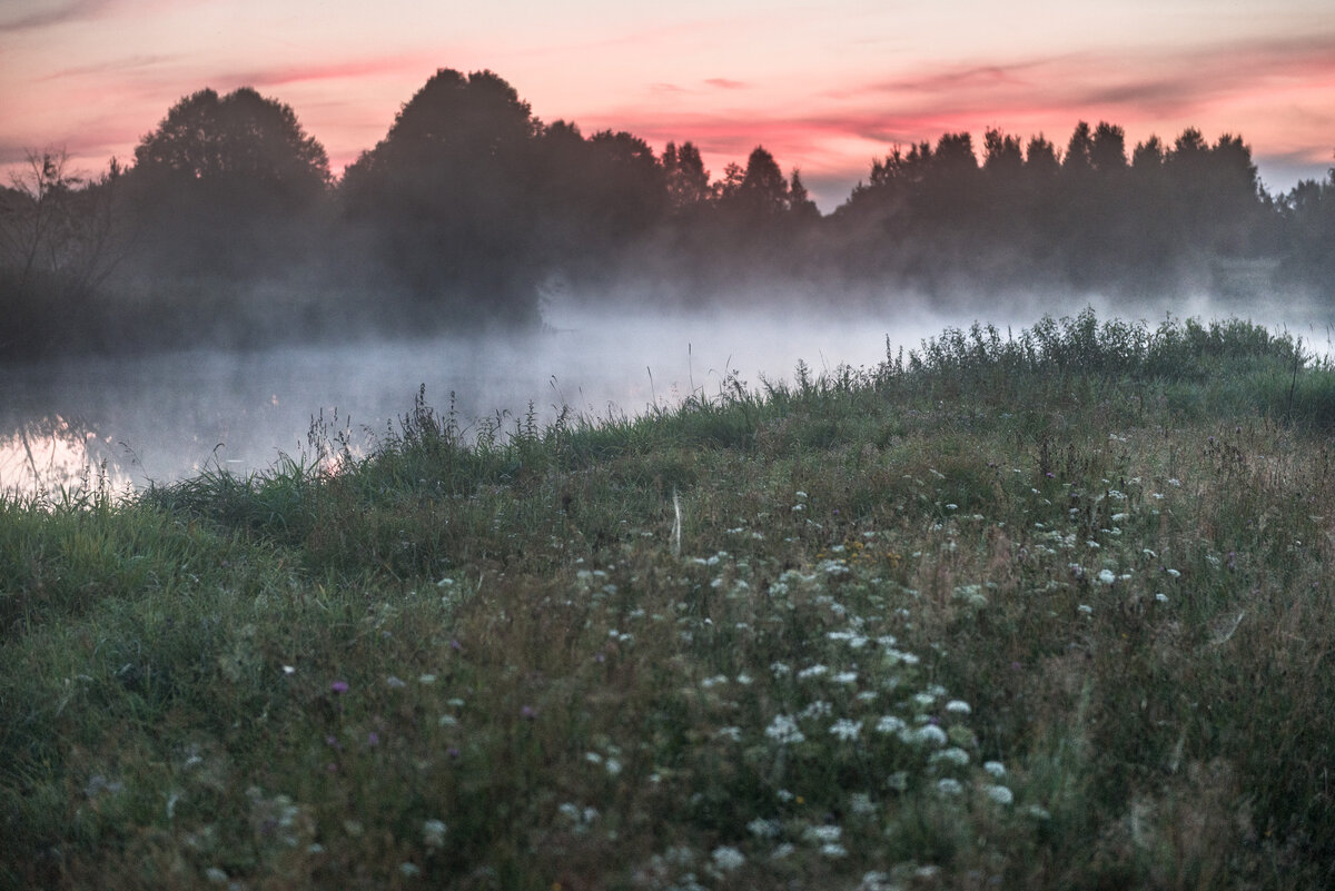 Несколько красивых фотографий из средней полосы России.