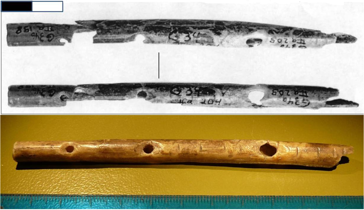 Первые музыкальные инструменты. Самая древняя флейта. Древние музыкальные инструменты. Флейта самый древний музыкальный инструмент. Первые музыкальные инструменты в истории