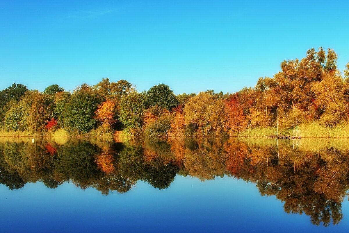Изображение Lolame с сайта Pixabay