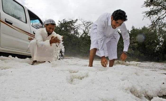 Фото (открытый доступ)