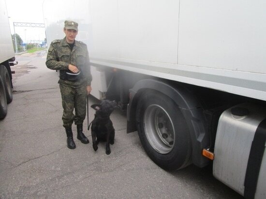 Северо-запдное таможенное управление