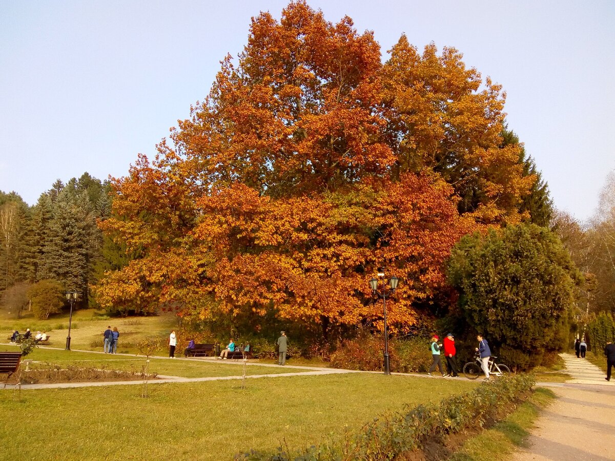 Кисловодский парк в октябре