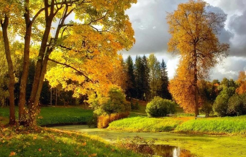 Фото — yandex.net