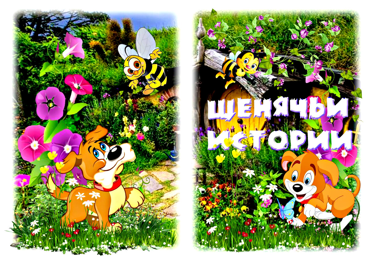 обложка и титульный лист