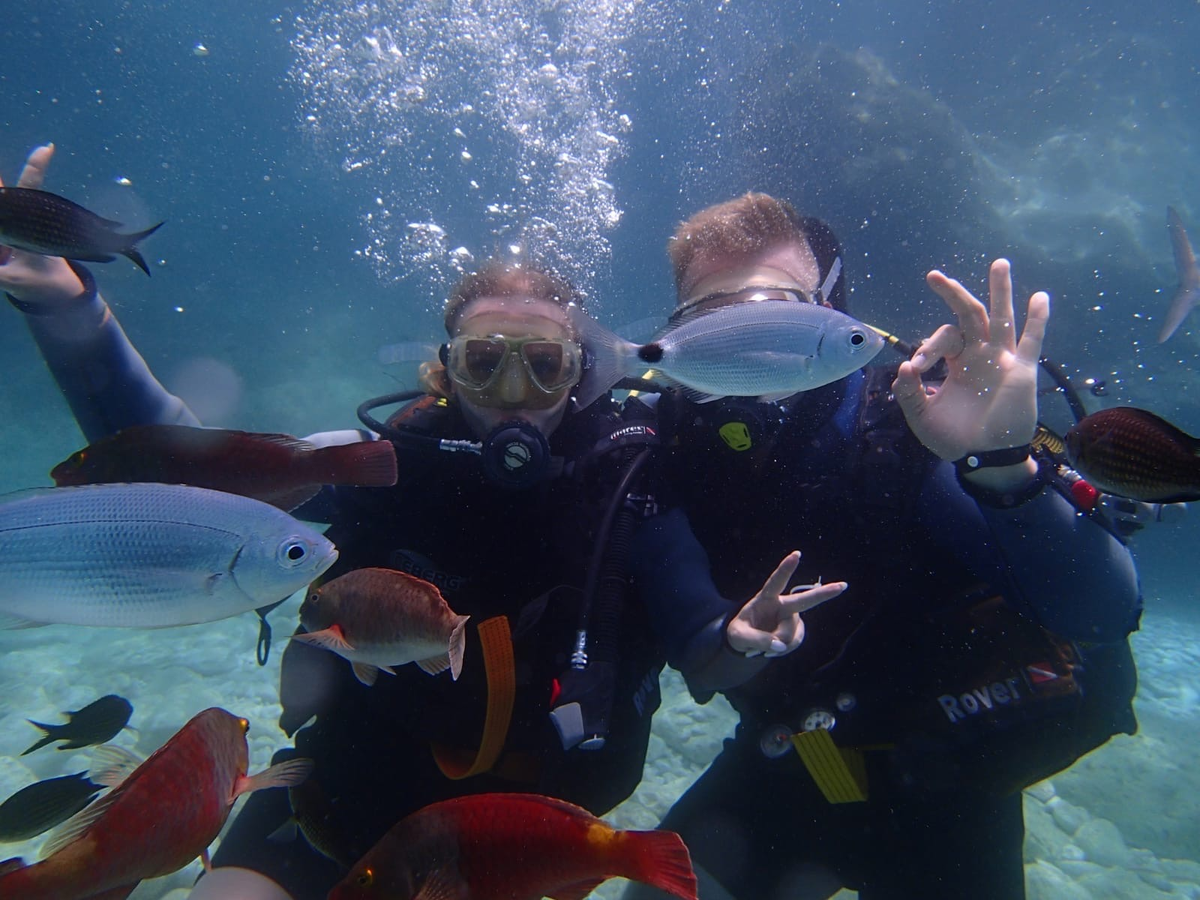 Фото прилагаю :)