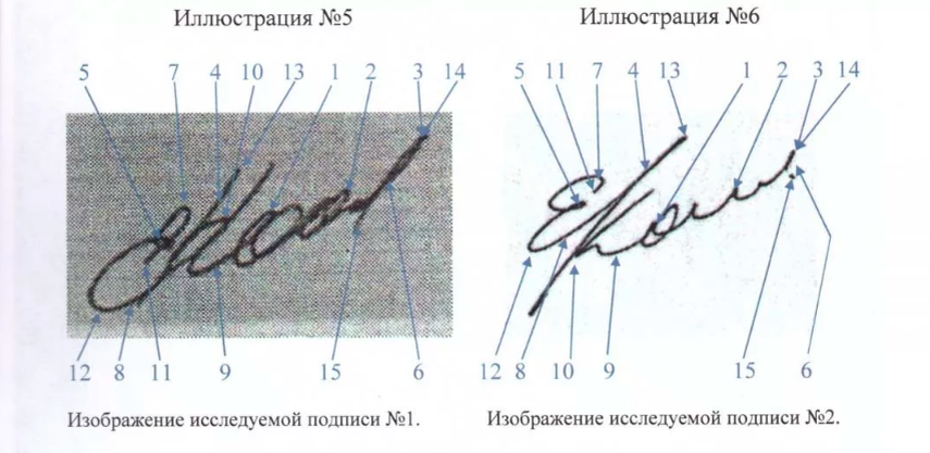 Пример сравнения подписи в рамках экспертизы.