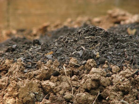 Как использовать гуминовые удобрения?