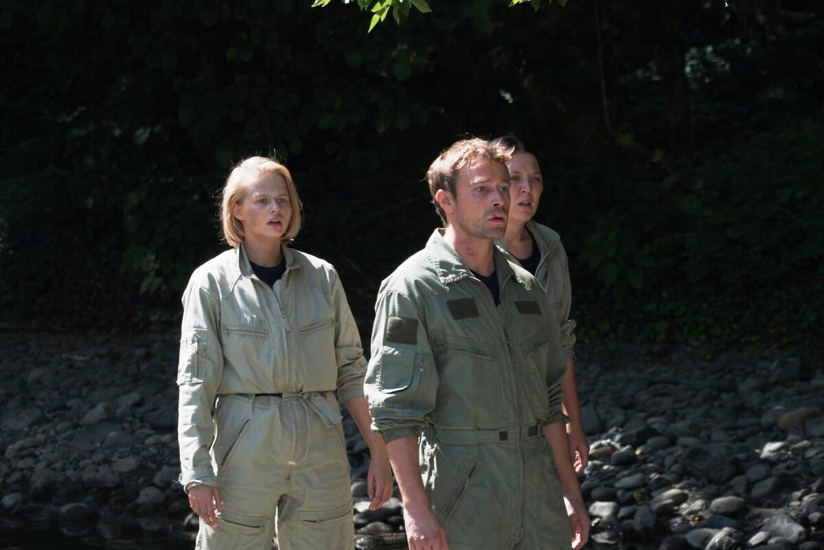 Фото из открытых источников где размещены иллюстрации для общего пользования