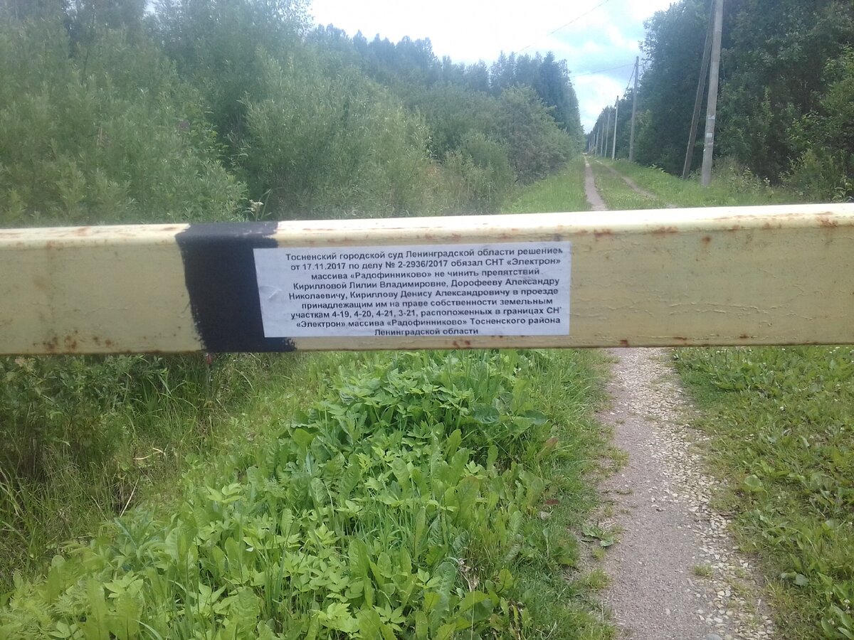 Погода в радофинниково ленинградская область. СНТ Буревестник Радофинниково. Массива Радофинниково. СНТ энергия Радофинниково. Радофинниково, СНТ Лесное-1