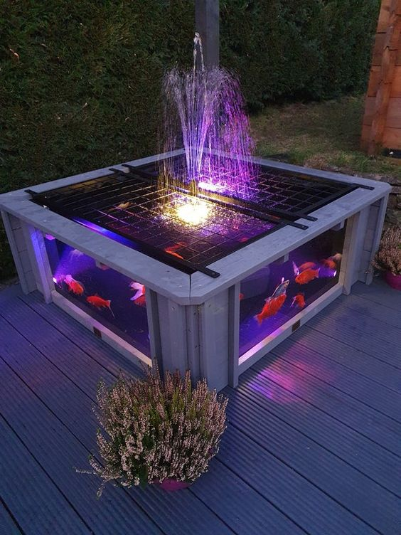 Фото взято из открытого доступа в сети интернет