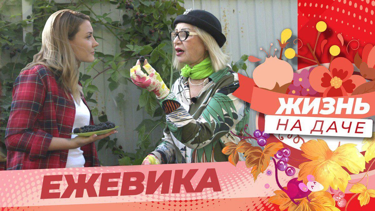 В первых выпусках ведущие Юлия Ягафарова и Октябрина Ганичкина расскажут чем подкармливать ежевику