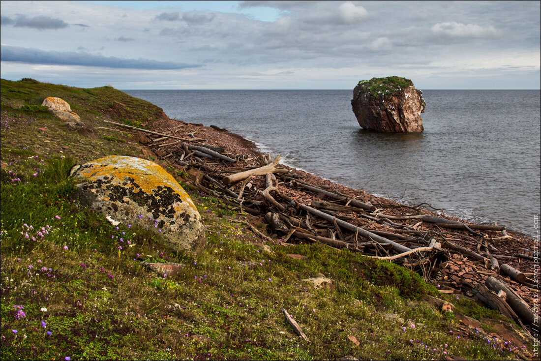 Ископаемые белого моря. Терский берег белого моря. Терский берег Мурманск. Терский берег Кольского полуострова. Мыс корабль Терский берег.