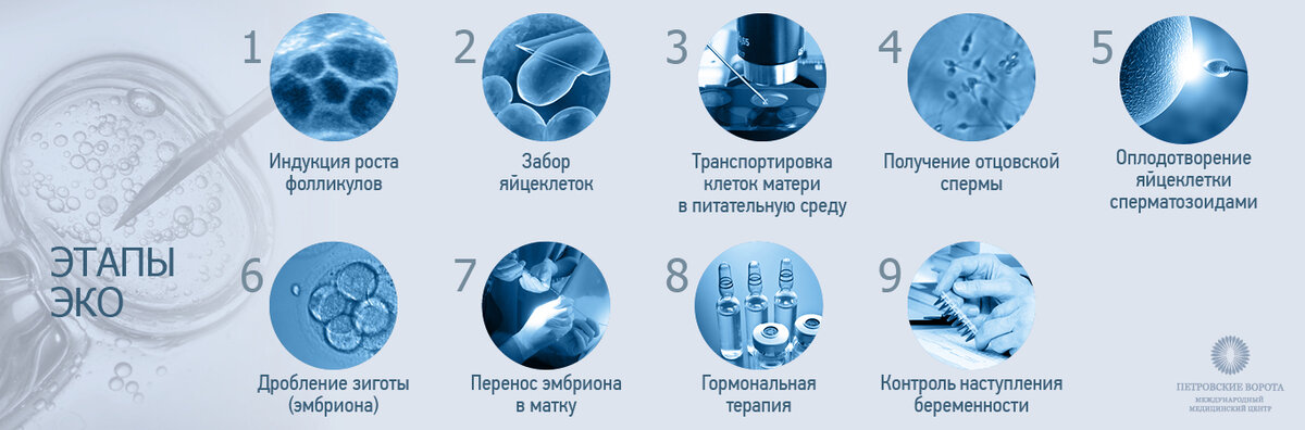 изображение из открытых источников
