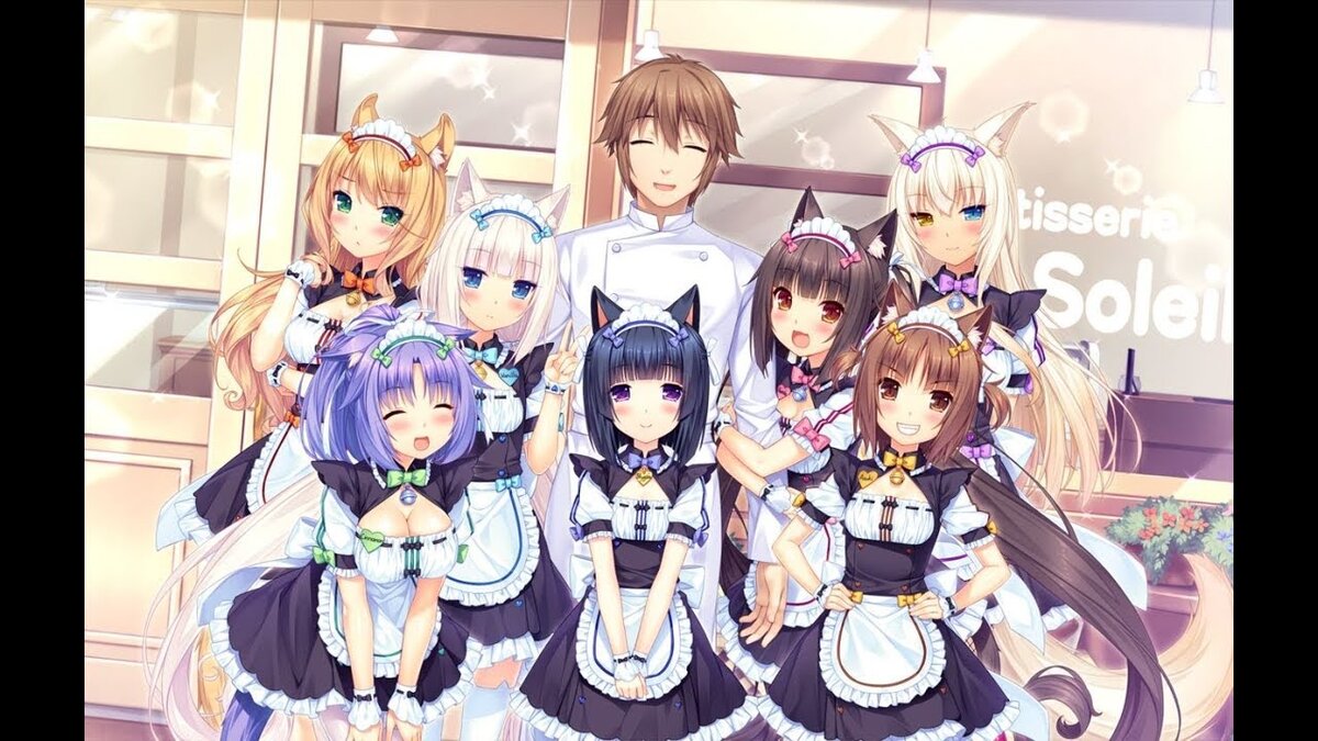 Все герои новеллы. На заднем плане: Мэпл, Ванилла, Касё Миназуки, Чокола, Коконат. На переднем плане: Шинамон, Сигурэ Миназуки, Азуки. Источник: Anivisual,net.