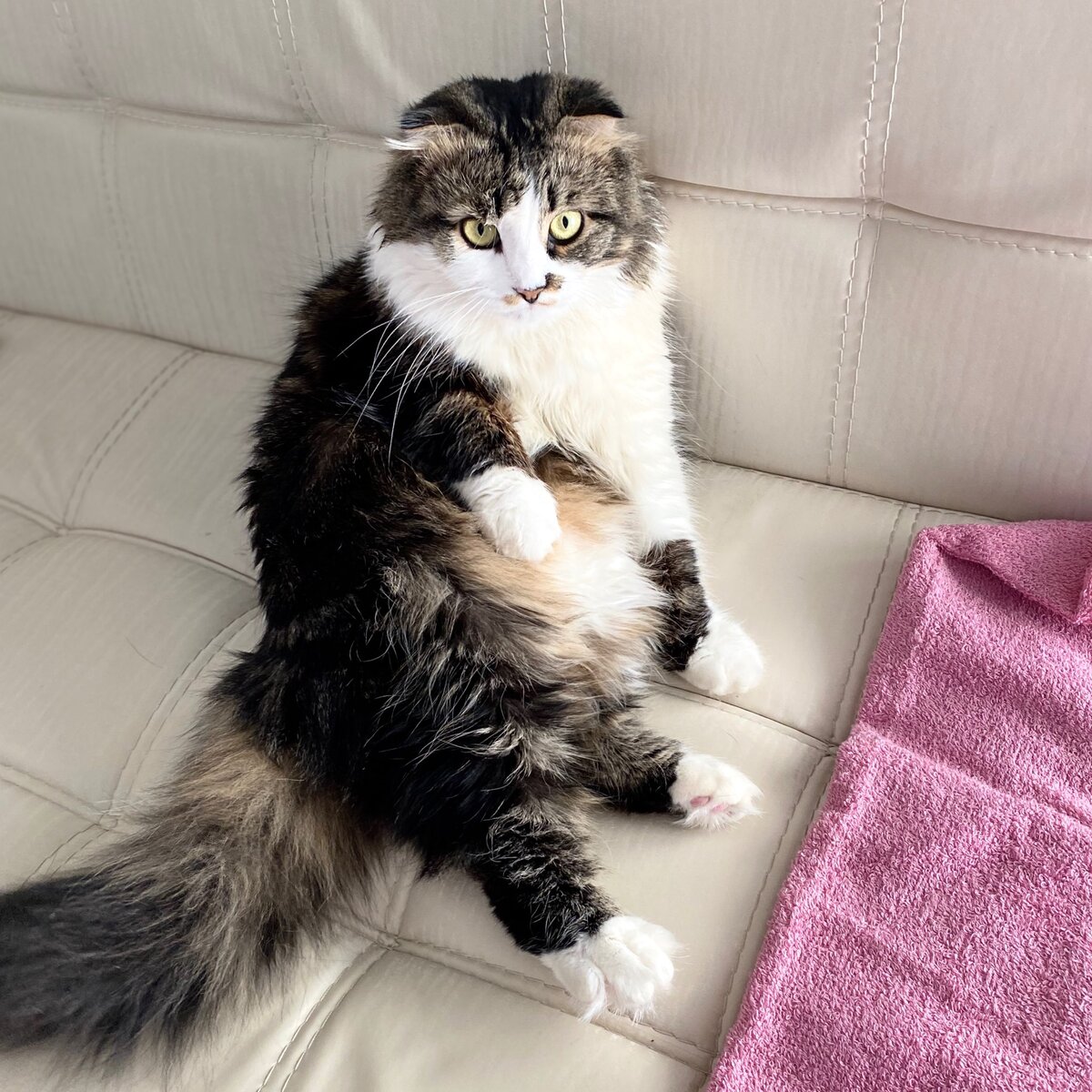 Разве не так?