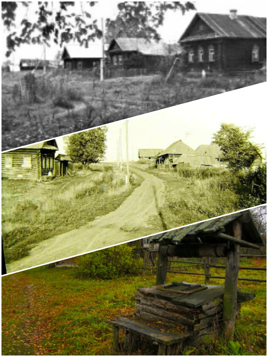 Коллаж:  Елизавета Летучева