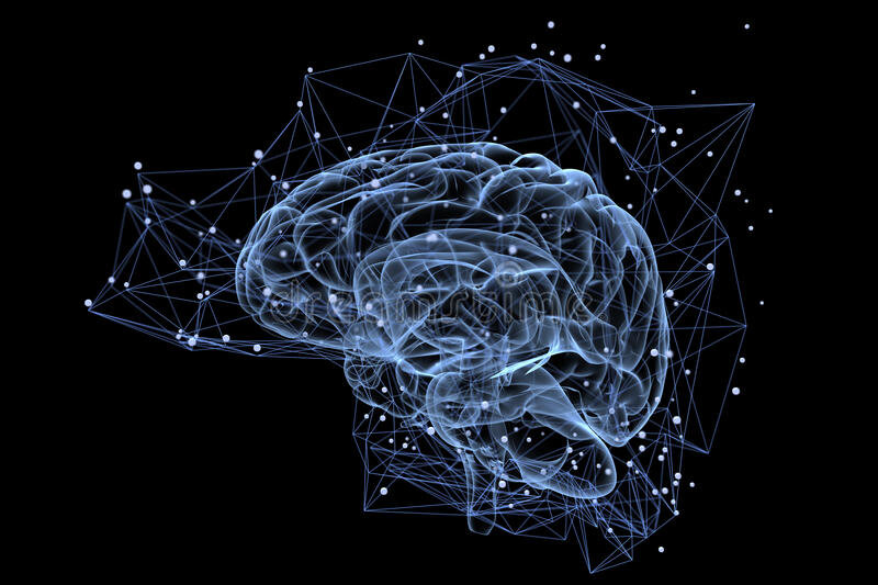 Мозг 🧠 