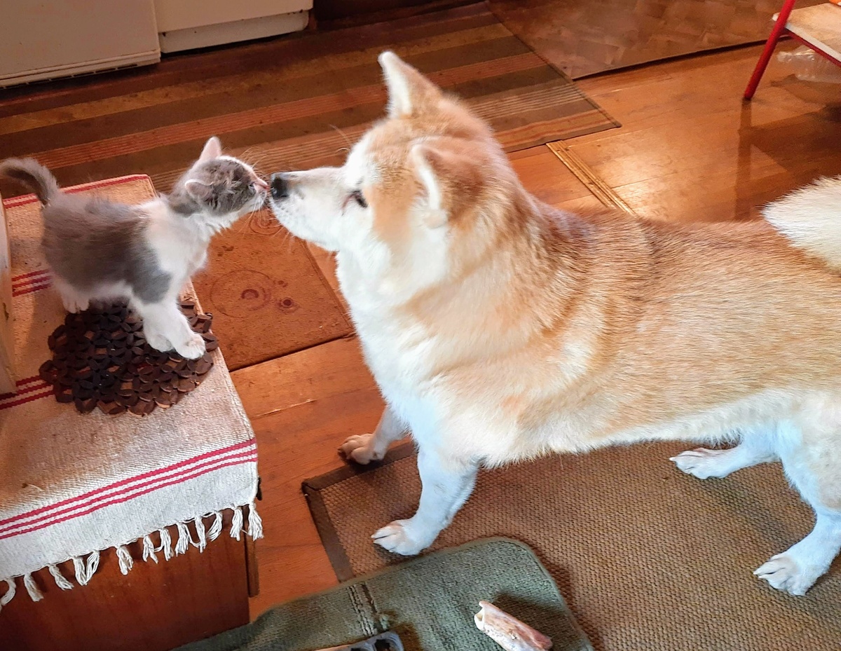 Мною давно замечено: когда чего очень хочешь и правильно формулируешь запрос, то необходимое быстро приходит. 