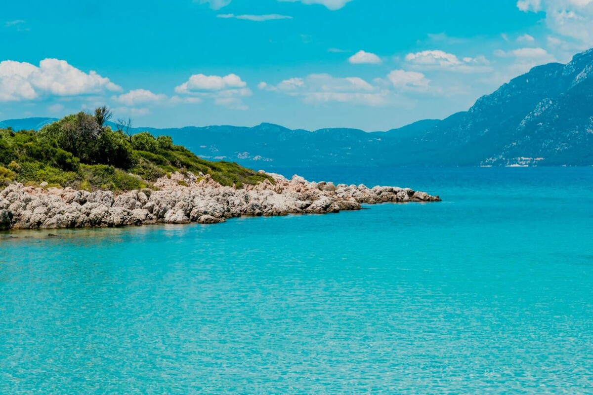 Фото взято из открытых источников 