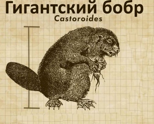 Гигантский бобр