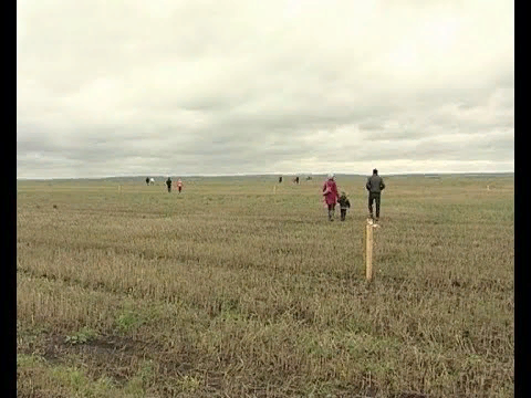 Вот в таких местах получают земли многодетные родители. Источник изображения - Яндекс.Картинки