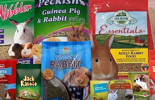 Правильное питание декоративного кролика: список продуктов