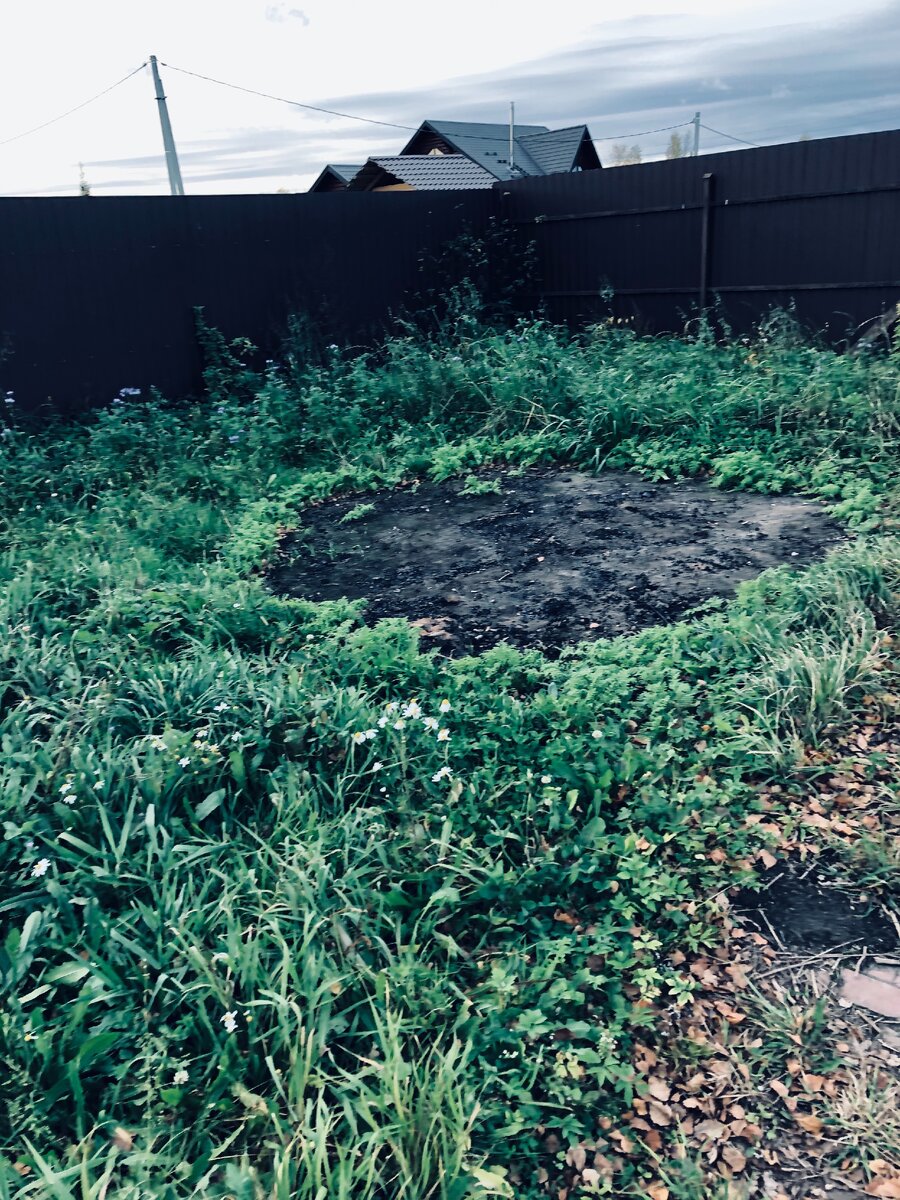 Вот как  выглядел пару дней назад мой мавританский газон, посередине мы жгли большой костер, поэтому там ровное место. Фото автора. 