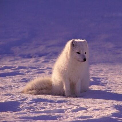 Источник изображения: unsplash.com