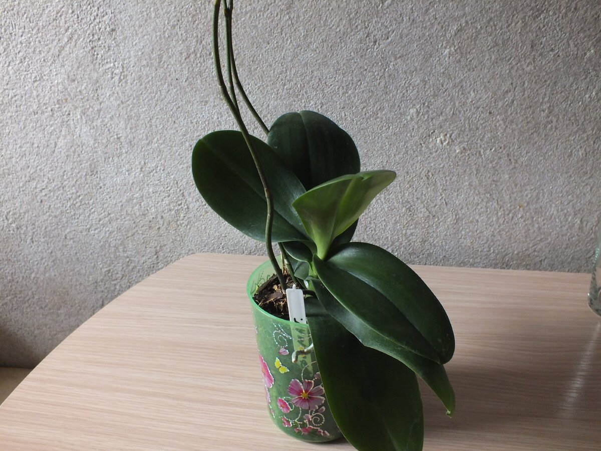 Фото из личного архива.