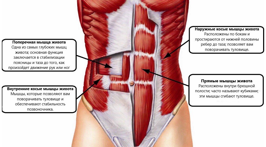 Упражнение 2: Боковая планка