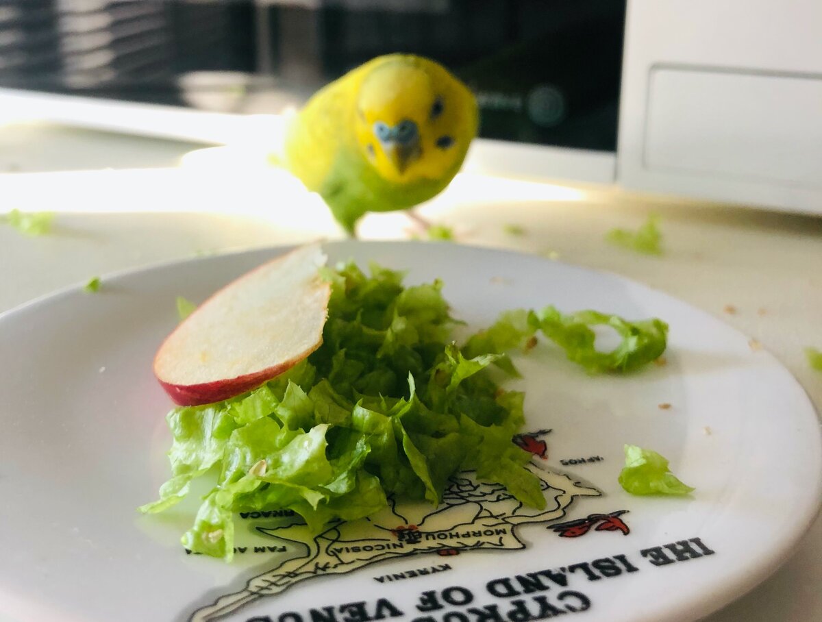 Тэри распробовал салат. 