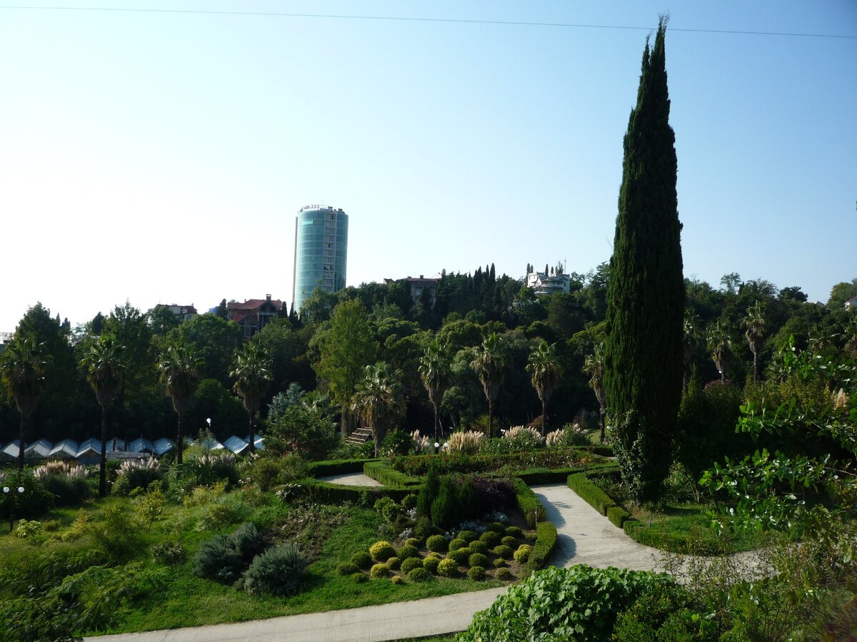 Вид на дендрарий с канатной дороги.